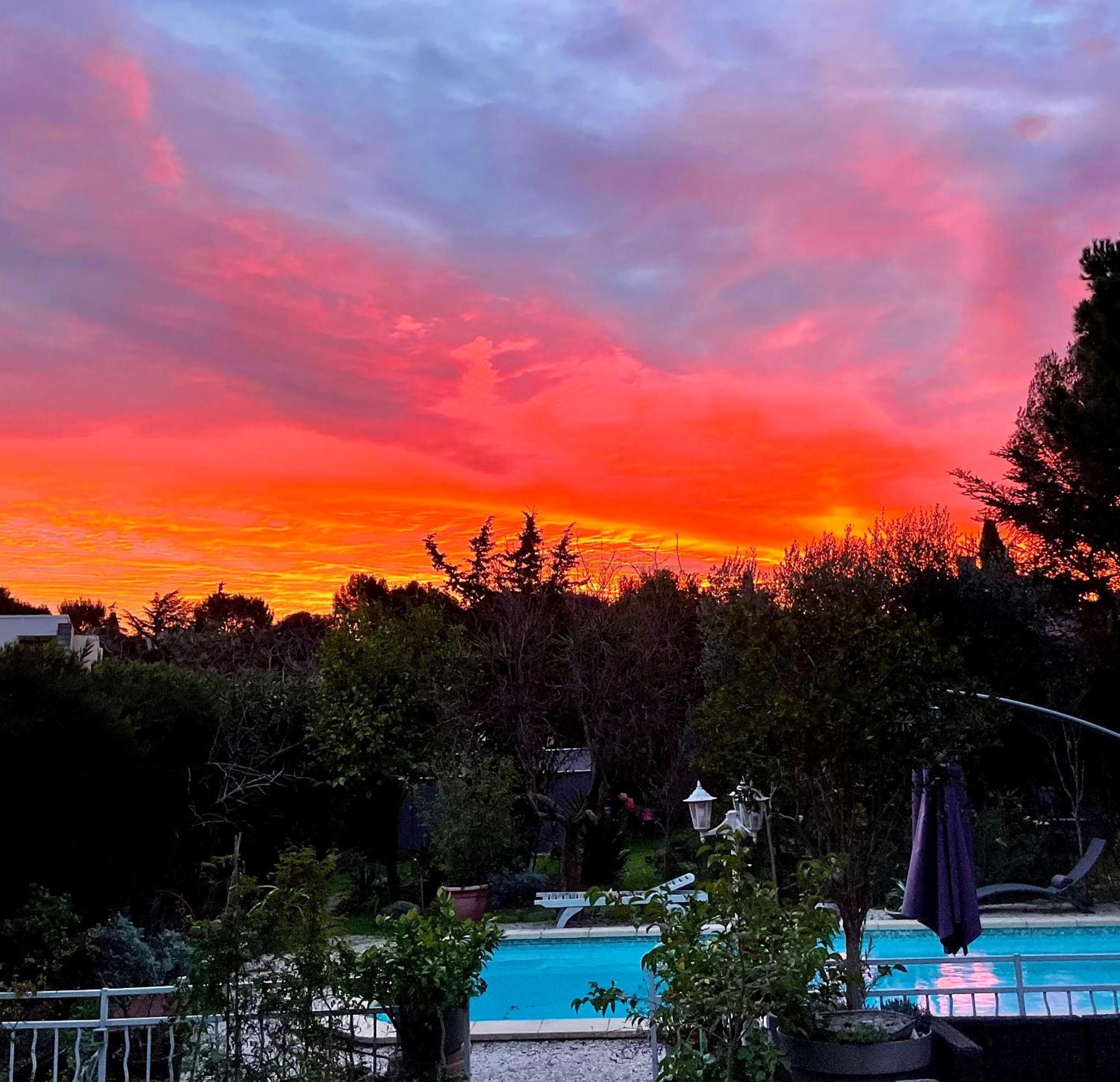 Les Pinsons Appartement La Ciotat Buitenkant foto