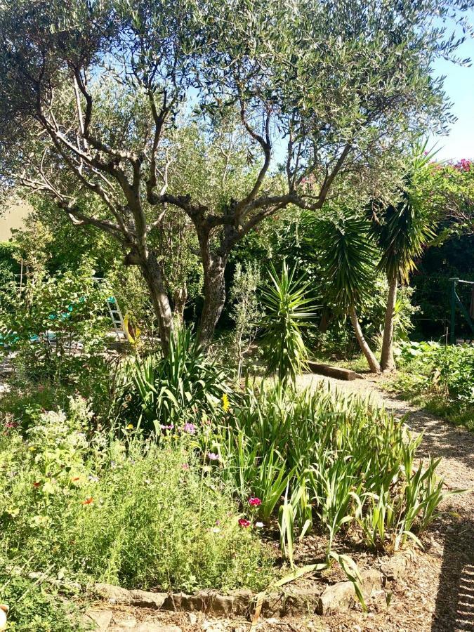 Les Pinsons Appartement La Ciotat Buitenkant foto